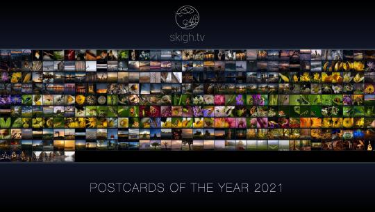 skigh.tv Bilder des Jahres 2021