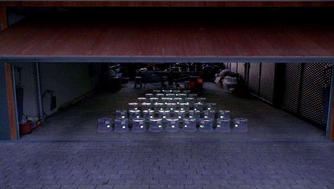 Ich und mein Bruder Dirk