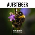 Kleine Wesen
