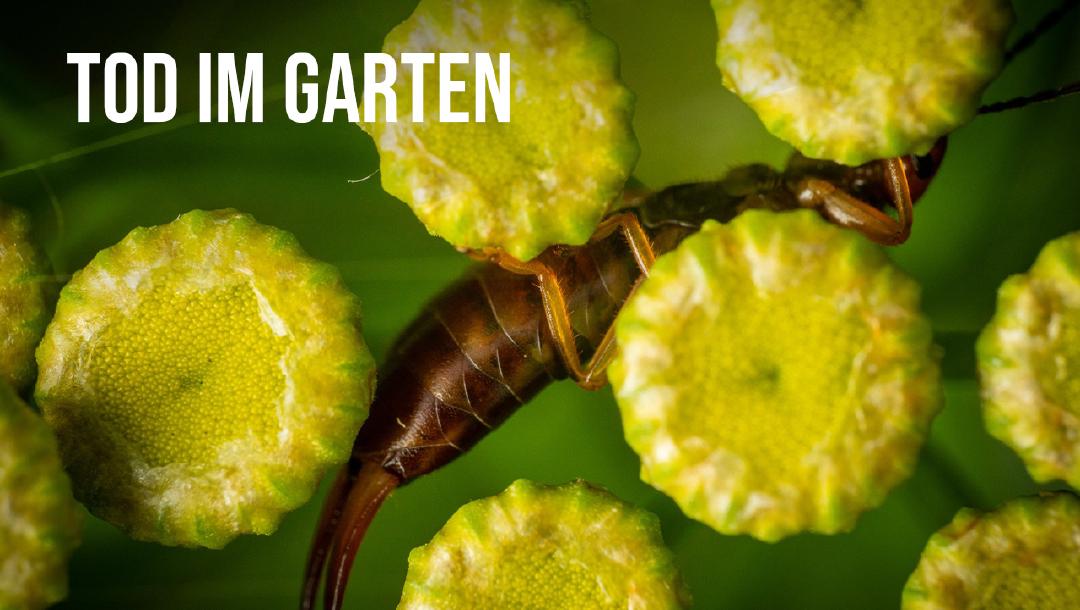 Episode 5: Tod im Garten