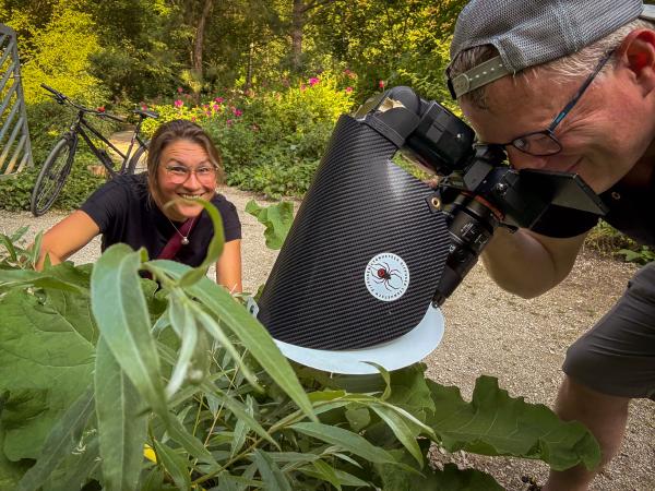 Katrin und Jörn beim Bioblitz Botanischen Gärten 2025 auf der Jagd nach der Vierfleck-Ameise