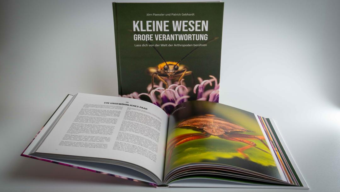 Buch: „Kleine Wesen – Große Verantwortung“